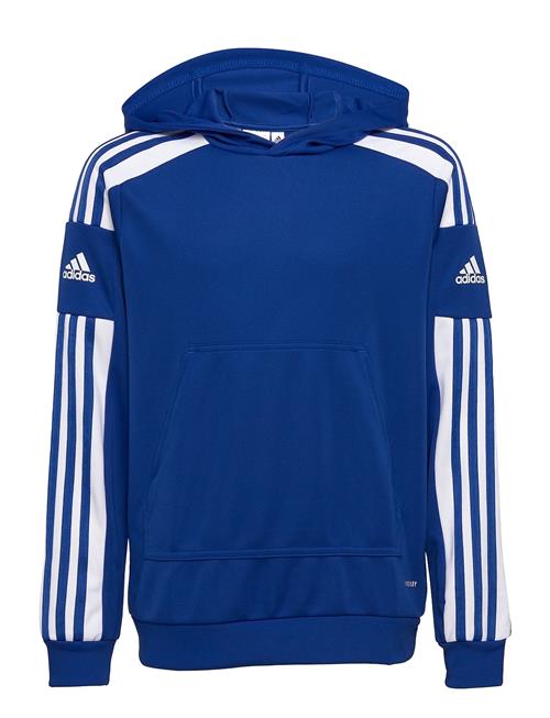 adidas Performance Squadra21 Hoody Youth Adidas Performance Blue