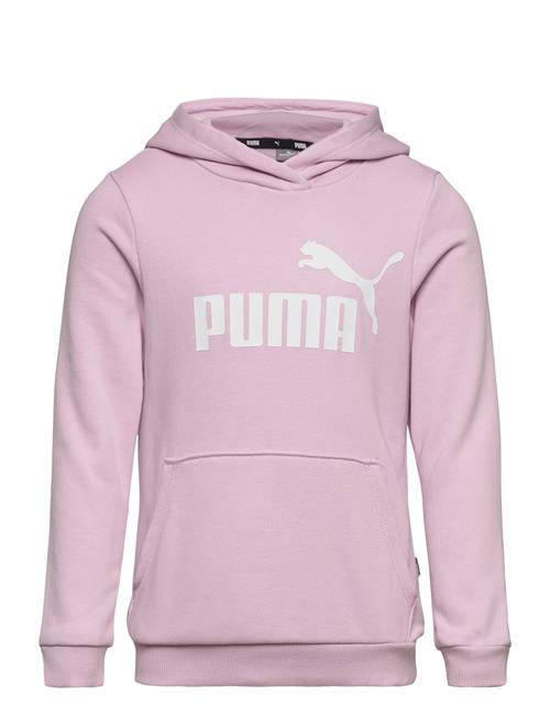 Se PUMA Ess Logo Hoodie Tr G PUMA Pink ved Booztlet