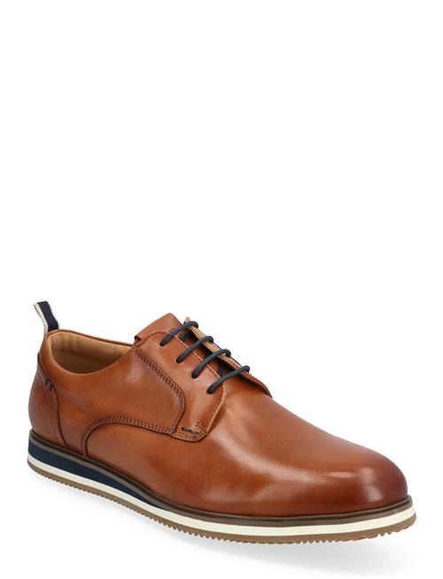 Dune London Blaksley Dune London Brown