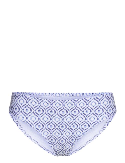 Monte Carlo Hipster Missya Blue