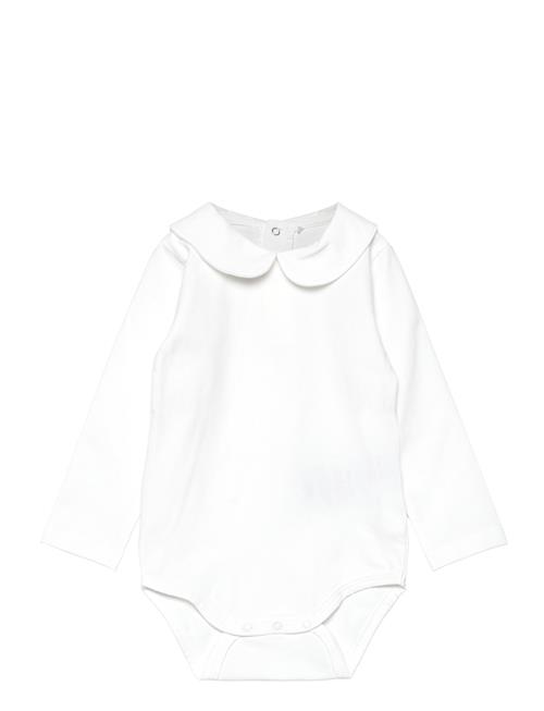 Fixoni Body Ls W. Collar Fixoni White