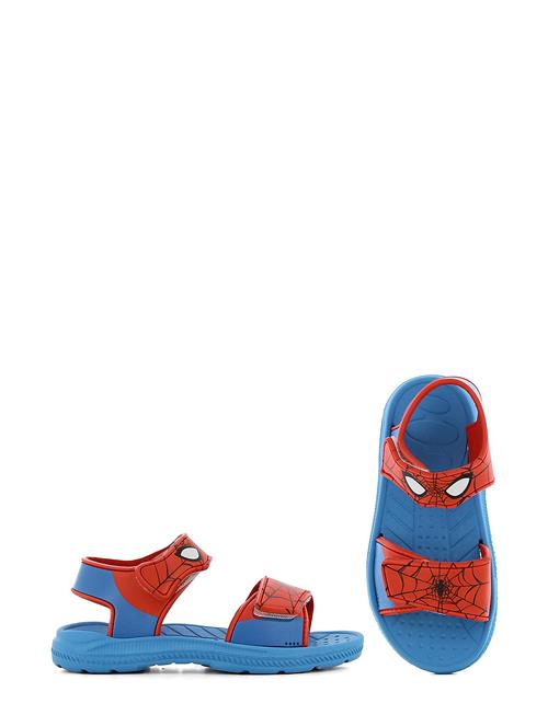 Leomil Spiderman Sandal Leomil Patterned