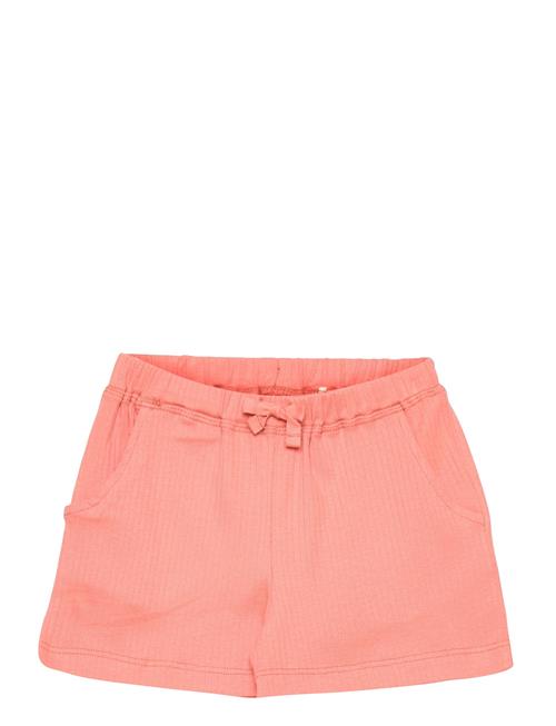 Copenhagen Colors Rib Jersey Shorts Copenhagen Colors Pink