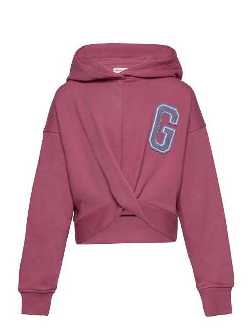 Se GANT Twisted Sweat Hoodie GANT Pink ved Booztlet