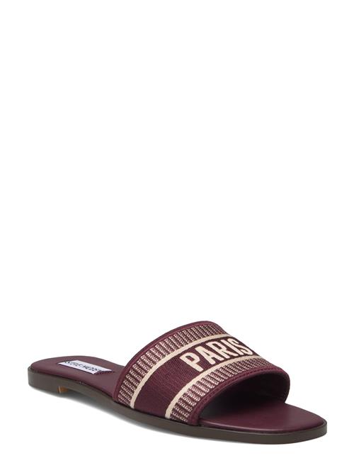 Knox Sandal Steve Madden Burgundy