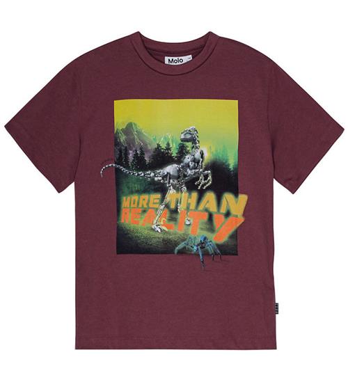 Molo Molo T-shirt - Riley - More Than...