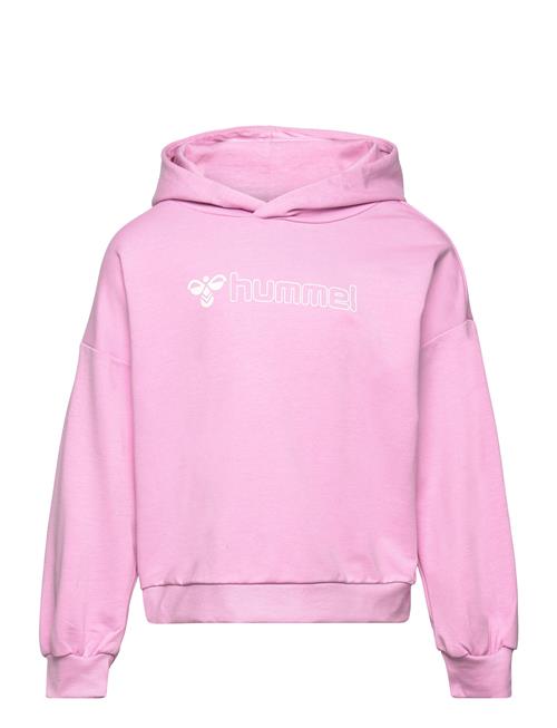 Se Hummel Hmloctova Hoodie Hummel Pink ved Booztlet