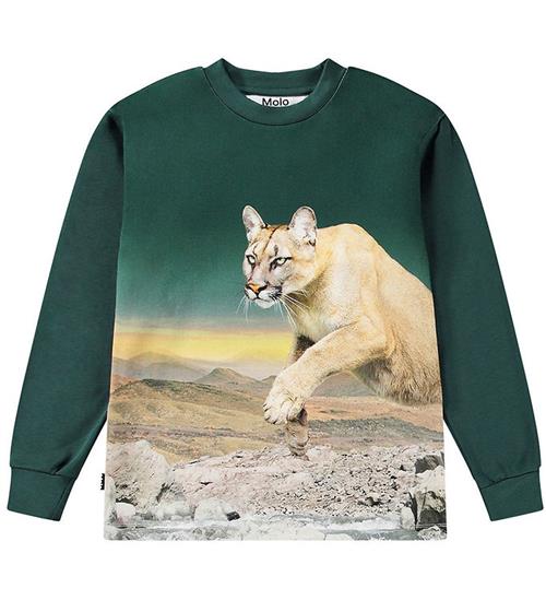 Se Molo Molo Bluse - Rexton - Puma Green ved KidsWorld