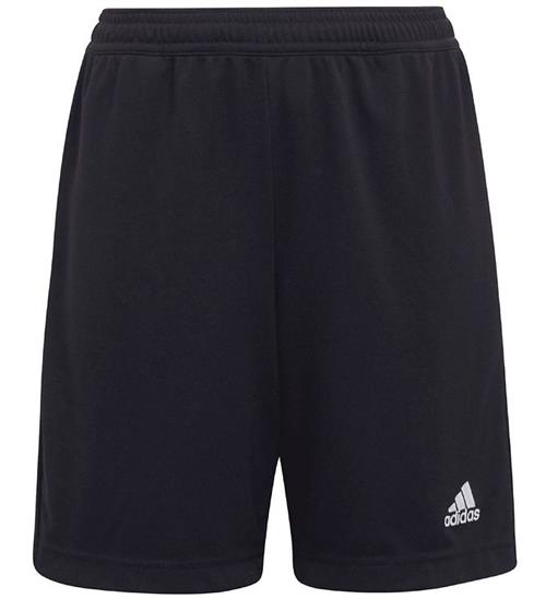 adidas Performance Shorts - Entrada 22 - Sort