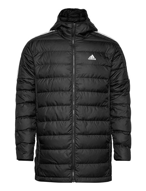 Essentials Down Parka Adidas Sportswear Black