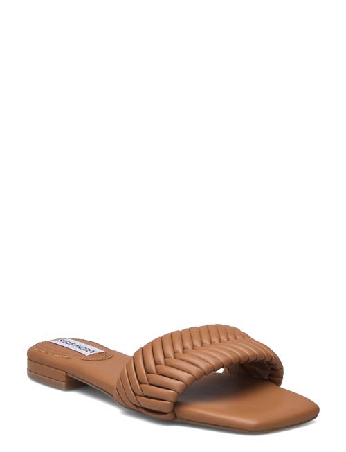 Steve Madden Allure Sandal Steve Madden Brown