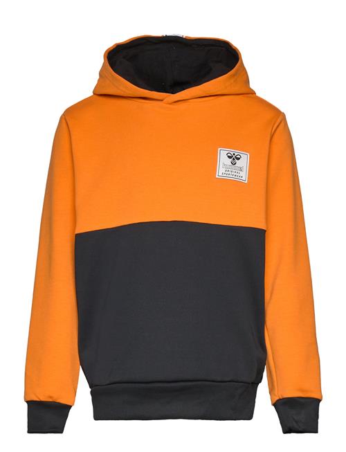 Se Hummel Hmlozzy Hoodie Hummel Orange ved Booztlet