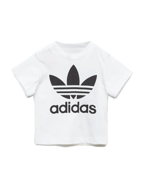 Se adidas Originals Trefoil Tee Adidas Originals White ved Booztlet