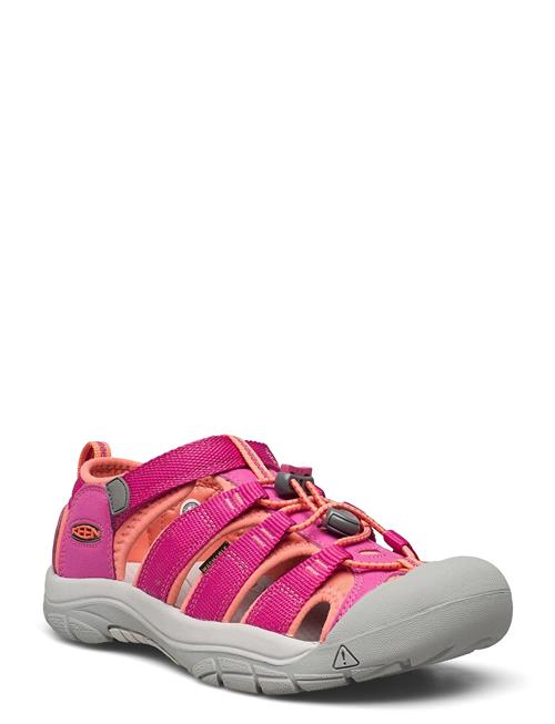 KEEN Ke Newport H2 Y Berry-Fusion Coral KEEN Pink