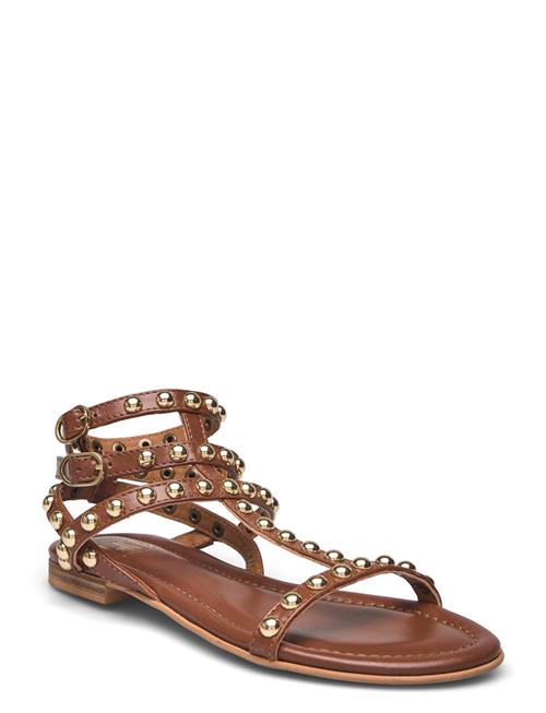 Billi Bi Sandals Billi Bi Brown