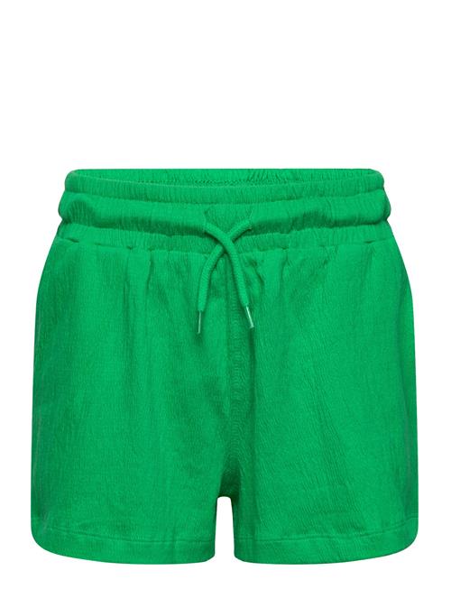 The New Tnjia Shorts The New Green