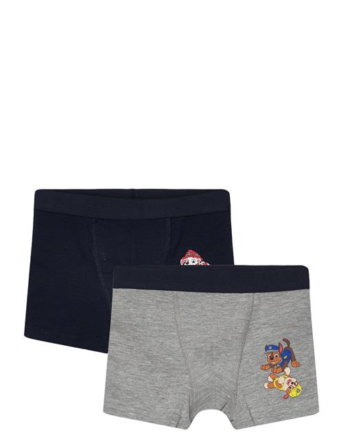 Nmmjocut Pawpatrol 2P Boxer Noos Cplg Name It Patterned
