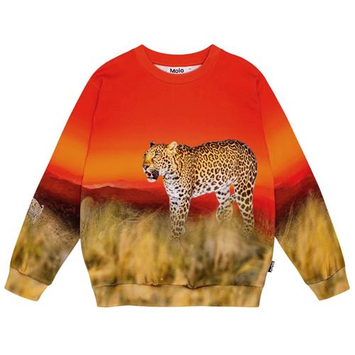 Molo GOTS Miksi Sweatshirt Red Sky Leopard | Rød | 104 cm