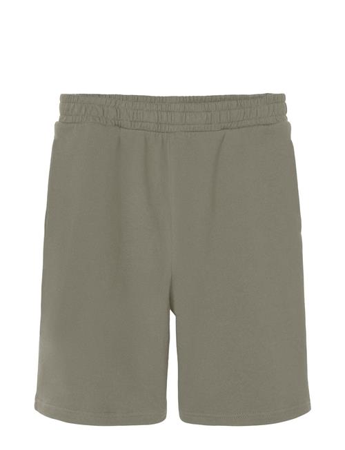 LMTD Nlmfagen L Shorts LMTD Khaki