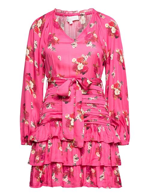 Archie Dress Love Lolina Pink