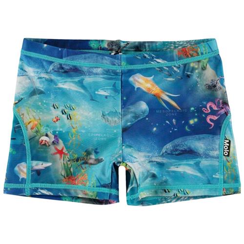 Se Molo Norton Badebukser Ocean Zones | Blå | 134/140 cm ved Babyshop