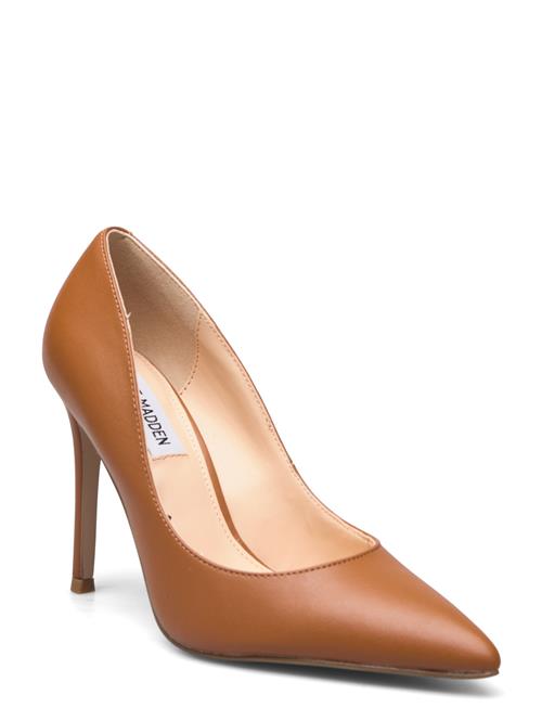 Se Steve Madden Evelyn-E Pump Steve Madden Brown ved Booztlet