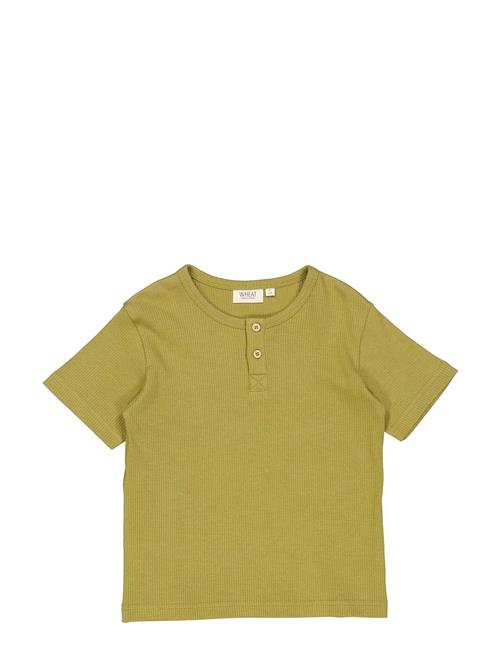 Se Wheat T-Shirt Lumi Wheat Green ved Booztlet