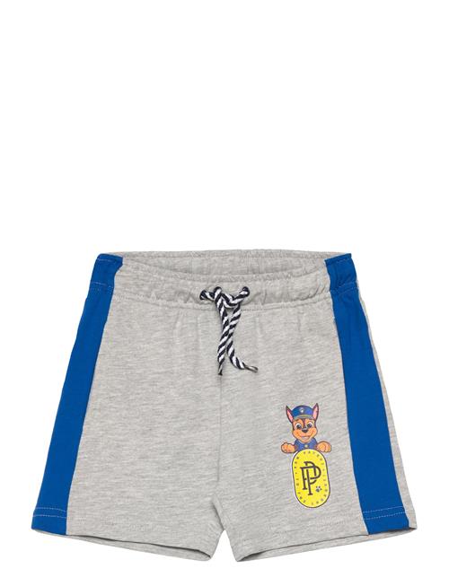 Paw Patrol Shorts Paw Patrol Grey