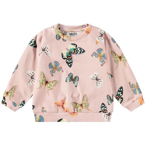 Se Molo GOTS Disc Sweatshirt Blush Papillions | Lyserød | 68 cm ved Babyshop