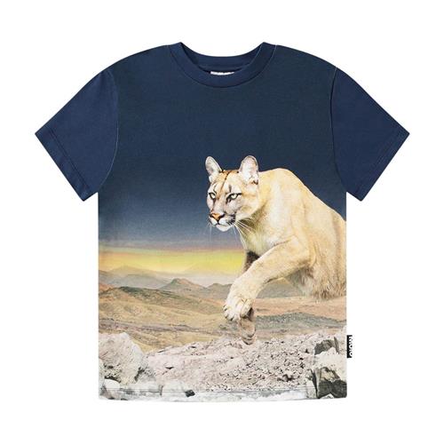 Molo GOTS Roxo T-shirt Puma Blue | Marine blå | 110 cm