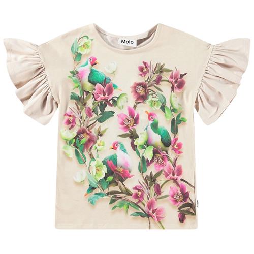 Molo GOTS Rayah T-shirt Fruit Doves | Beige | 110 cm