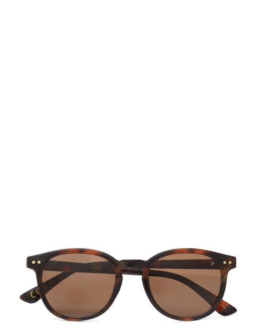 Mango Polarised Sunglasses Mango Brown