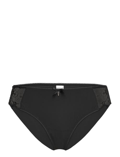 Freya Hallie Brief Freya Black