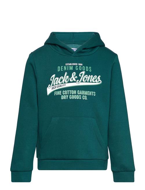 Jack & Jones Jjelogo Sweat Hood 2 Col 24/25 Noos Mni Jack & J S Green