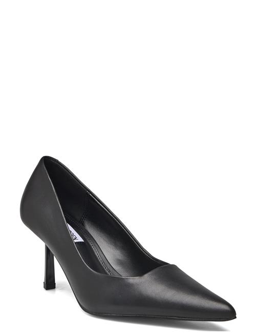 Vivion Pump Steve Madden Black