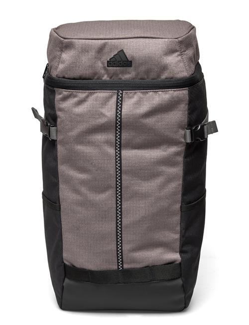 adidas Performance Cxplr Bp 2 Adidas Performance Grey