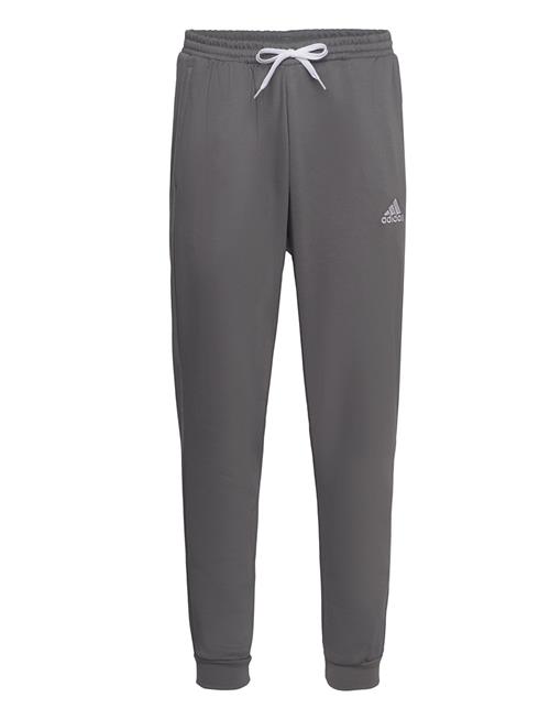 adidas Performance Ent22 Sw Pnt Adidas Performance Grey