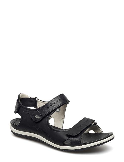 Se GEOX D Sandal Vega A GEOX Black ved Booztlet