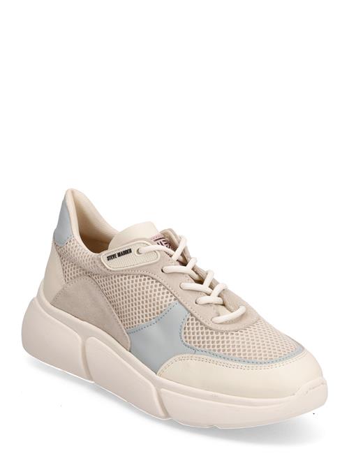 Se Steve Madden Many Sneaker Steve Madden Patterned ved Booztlet