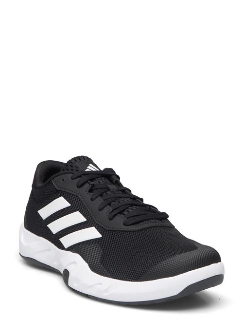 Se adidas Performance Amplimove Trainer M Adidas Performance Black ved Booztlet