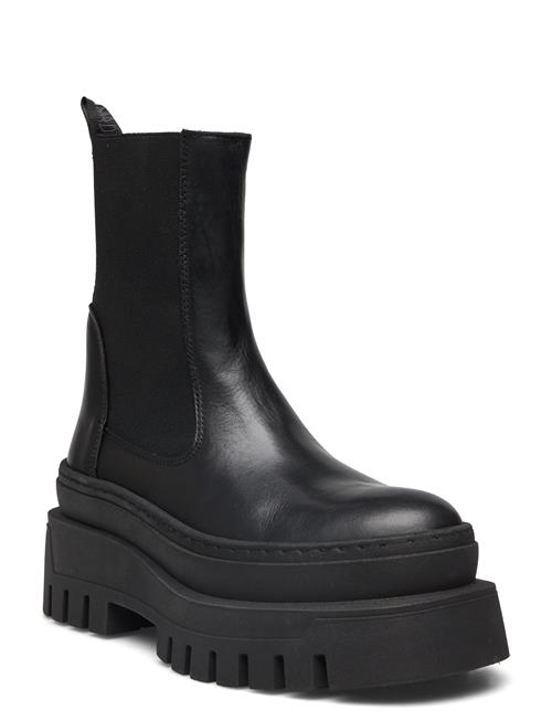 Cassandra Bootie Steve Madden Black