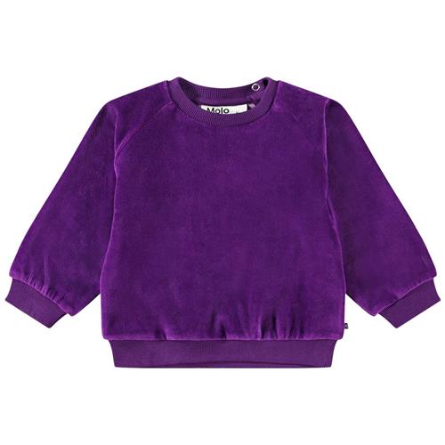 Se Molo Disc Sweatshirt Lilla | Lilla | 80 cm ved Babyshop