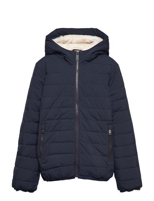 Abercrombie & Fitch Kids Boys Outerwear Abercrombie & Fitch Navy