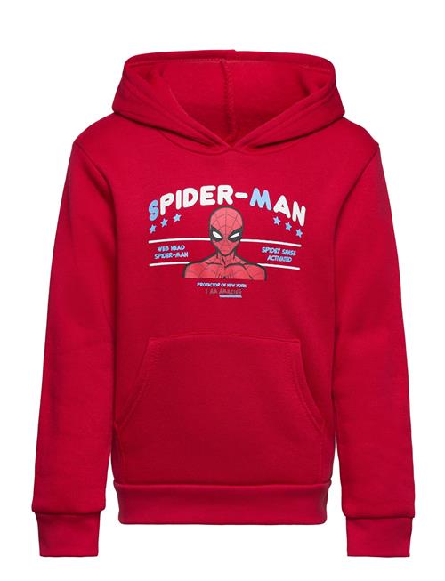 Marvel Sweats Marvel Red