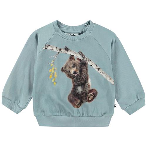 Se Molo GOTS Disc Sweatshirt Birch Tree Bear | Blå | 80 cm ved Babyshop