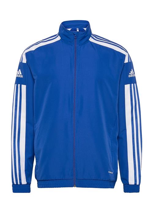 adidas Performance Sq21 Pre Jkt Adidas Performance Blue