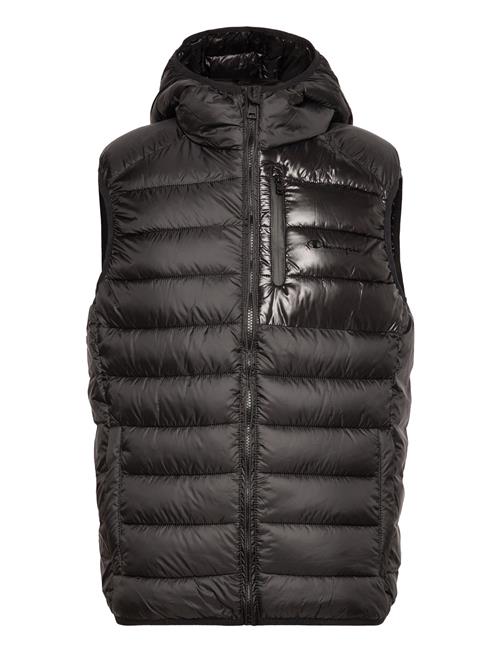 Champion Hooded Full Zip Vest Champion Black