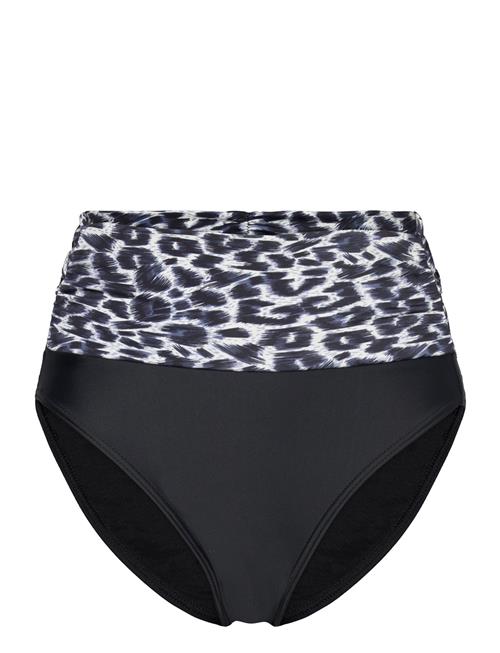 Wiki Swim Tai De Luxe Wiki Black