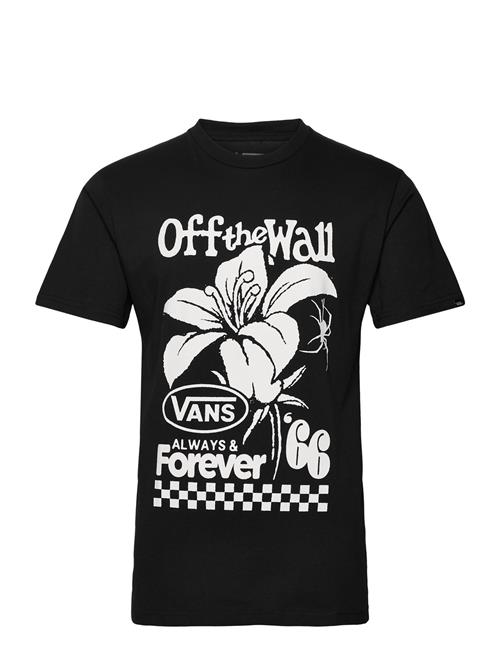 VANS Petal And Pest Ss Tee VANS Black