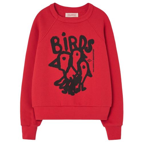 Se The Animals Observatory Shark Sweatshirt Red | Rød | 3 years ved Babyshop